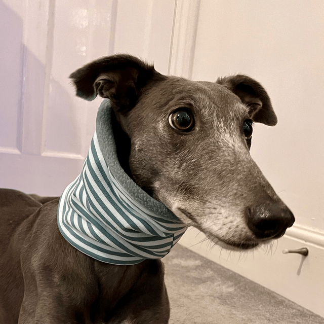 Green Striped Snood