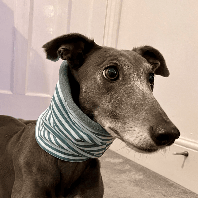Green Striped Snood
