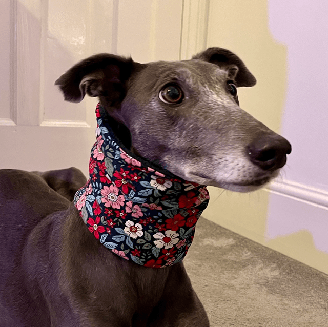 Vintage Florals Greyhound Snood
