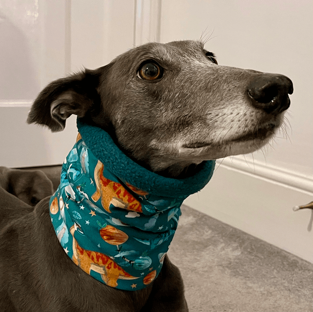 Space Dinos Greyhound Snood